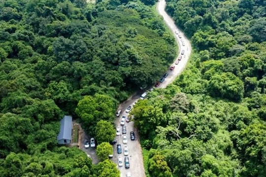 Tìm thấy thi thể nam du khách sau 6 ngày mất tích trong rừng Cúc Phương