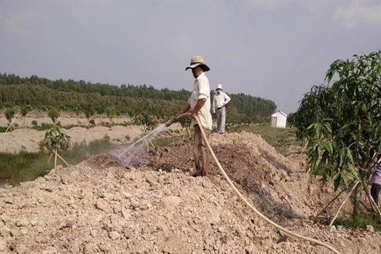 Giảm 30% tiền thuê đất năm 2025 cho các trường hợp trả tiền thuê đất hằng năm