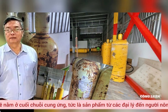 Quản lý khí Clo trong nuôi trồng thuỷ sản: Chuyên gia chỉ ra 'lỗ hổng' nằm ở cuối chuỗi cung ứng