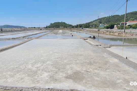 Quảng Ngãi chi hơn 4 tỷ đồng xây dựng Bảng giá đất sau sáp nhập, dự kiến áp dụng từ 1/1/2026