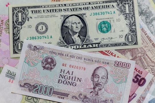 Tỷ giá USD hôm nay 21/8: Chợ đen tăng mạnh cả hai chiều, đồng bạc xanh quốc tế hạ nhiệt