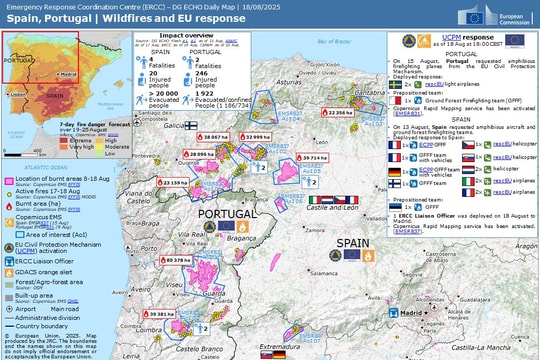 Cháy rừng kỷ lục tại châu Âu thiêu rụi hơn 1 triệu ha trong năm 2025