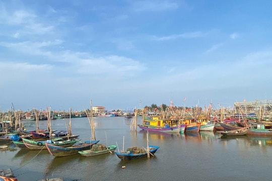 Ninh Bình cấm tàu, thuyền ra khơi từ 7h ngày 24/8 để ứng phó bão Kajiki