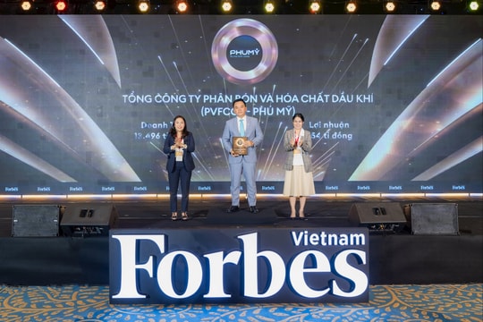Phú Mỹ - PVFCCo xuất sắc đạt danh hiệu kép Top 50 công ty niêm yết tốt nhất và Top 25 Thương hiệu dẫn đầu Việt Nam năm 2025