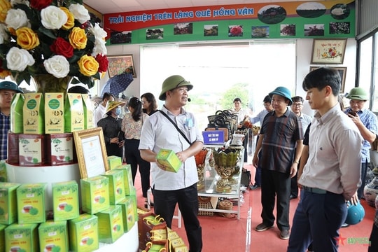 Hà Nội gắn kết sản phẩm OCOP với phát triển du lịch