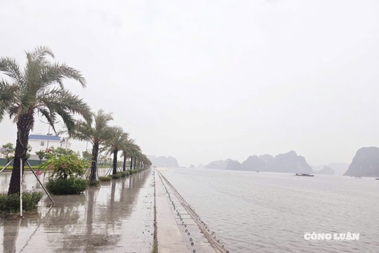 Quảng Ninh quyết liệt phòng chống bão số 5: Tất cả tàu thuyền đã về nơi an toàn