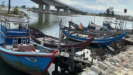 Chỉ đạo của Ban Bí thư về ứng phó với cơn bão số 5 (Kajiki)