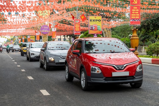 Vingroup là doanh nghiệp tư nhân nộp ngân sách lớn nhất cả nước