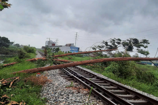 Đường sắt tạm dừng chạy 3 đoàn tàu do bão số 5