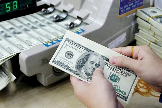 Tỷ giá USD hôm nay 25/8: Giảm mạnh những vẫn neo ở mức cao