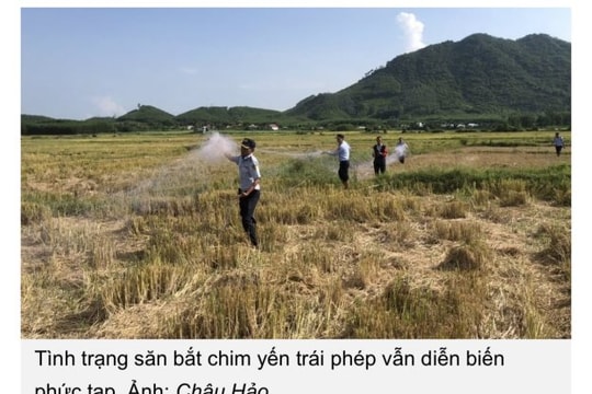 Cần chung tay bảo vệ nguồn tài nguyên thiên nhiên vô giá