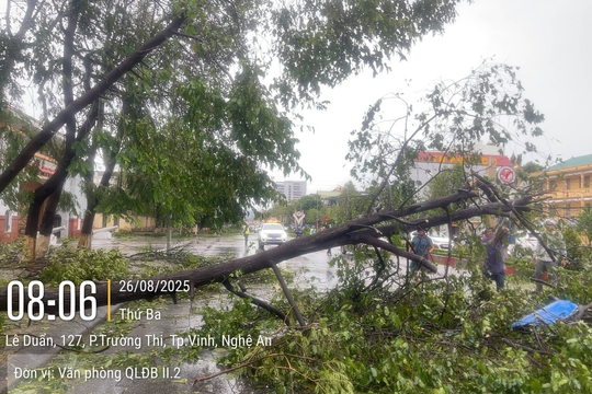 Nhiều tuyến Quốc lộ, cao tốc qua miền Trung bị thiệt hại do bão số 5