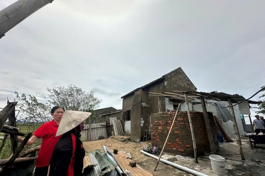 Gần 25.000 ngôi nhà tốc mái, hơn 104.000 cây xanh bị gãy đổ do bão số 5