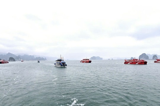 Kinh tế tư nhân Quảng Ninh: Bước ngoặt cho bứt phá và vươn mình