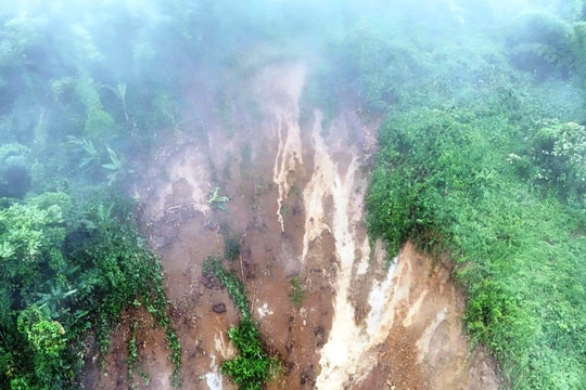 Sở GD&ĐT TP HCM kêu gọi toàn ngành chung tay ủng hộ đồng bào vùng lũ