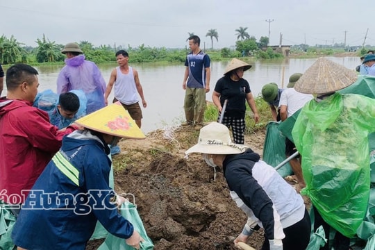 Hưng Yên: Kịp thời xử lý ngập úng và khắc phục sự cố vỡ kè sông Bần - Vũ Xá
