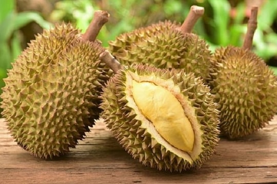 Giá sầu riêng hôm nay 30/8: Sầu Thái VIP duy trì mức cao, thị trường có sự phân hóa giữa các địa phương