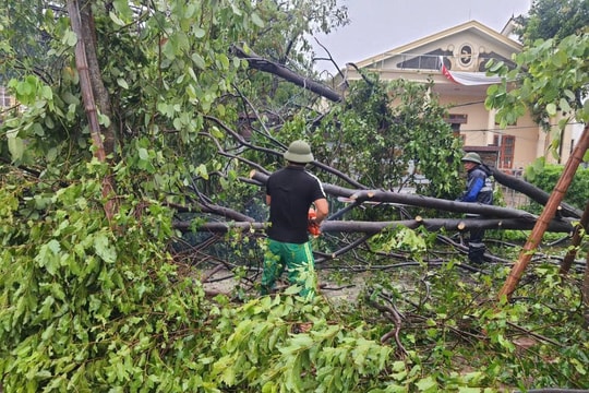 Nghệ An: Hơn 2.000 tấn rác mỗi ngày sau bão số 5, công nhân làm xuyên đêm thu dọn