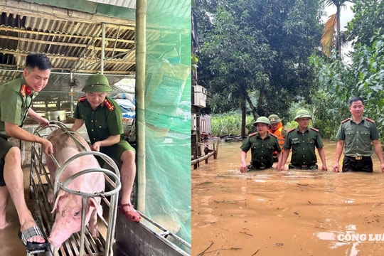 Thanh Hoá: Công an xã Thạch Quảng hỗ trợ người dân vùng ngập lụt