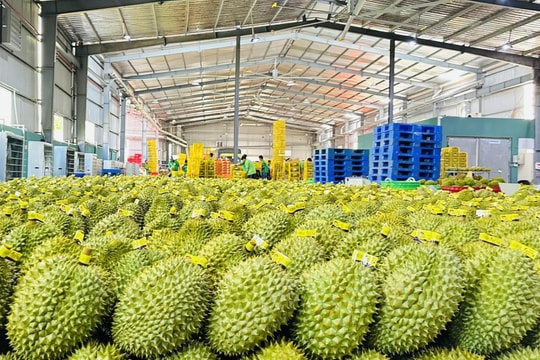 Ngăn chặn, xử lý vi phạm dư lượng hóa chất trong nông, lâm, thủy sản và truy xuất, xử lý tận gốc