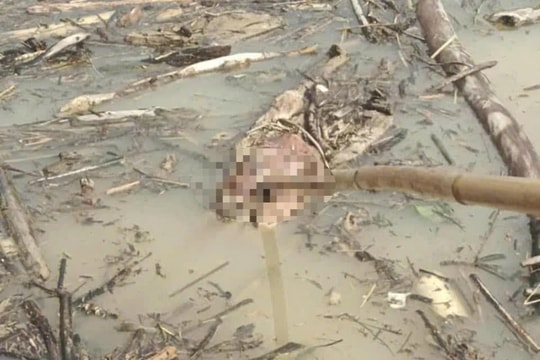 Phát hiện thi thể thứ 4 trên lòng hồ thủy điện ở Nghệ An