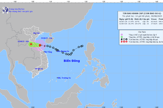 Ứng phó bão số 6: Đề phòng xảy ra giông lốc, sét có thể gây thiệt hại trước khi bão ảnh hưởng trực tiếp