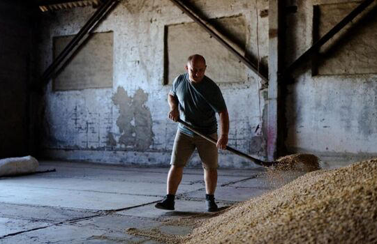 Kinh tế Ukraine gặp khó khăn vì thiếu lương thực