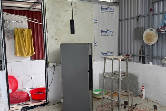 Bà nội sát hại 2 cháu vì mâu thuẫn gia đình