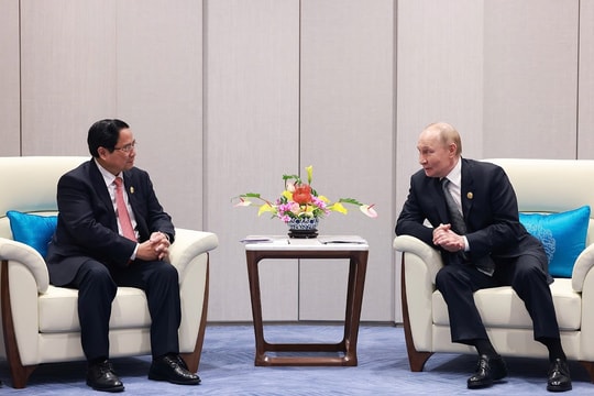 Thủ tướng Phạm Minh Chính gặp Tổng thống Nga Vladimir Putin, Tổng thư ký SCO và lãnh đạo các nước