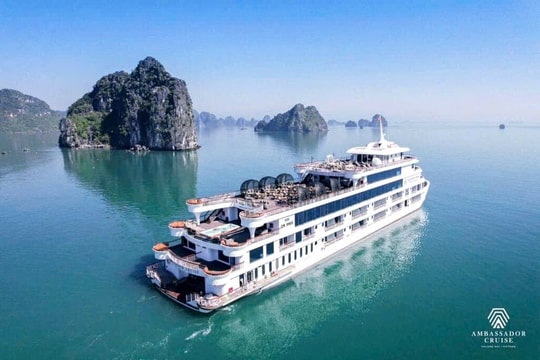 Chuyến du thuyền tri ân: Khúc ca hào hùng trên vịnh Hạ Long