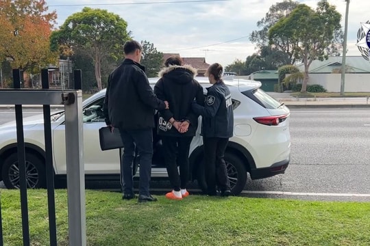 Lĩnh án 11 năm tù vì giấu 100 kg ma túy trong giày