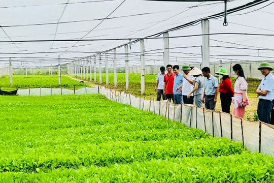 Xã Lê Lợi phát huy nội lực xây dựng nông thôn mới