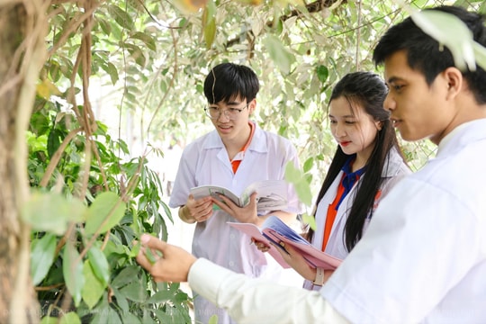 Bộ GD&ĐT công bố 'luật chơi mới' cho kiểm định đại học