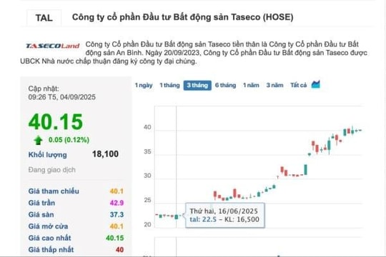 'Đọc vị' loạt nhà đầu tư rót vốn vào Taseco Land