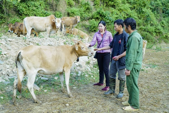 Linh hoạt, sáng tạo và sâu sát để khắc phục những thách thức trong giảm nghèo sau sáp nhập