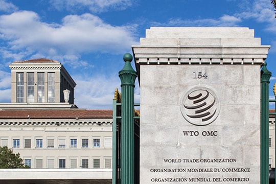 WTO hạ dự báo tăng trưởng thương mại toàn cầu năm 2026 xuống 0,5%