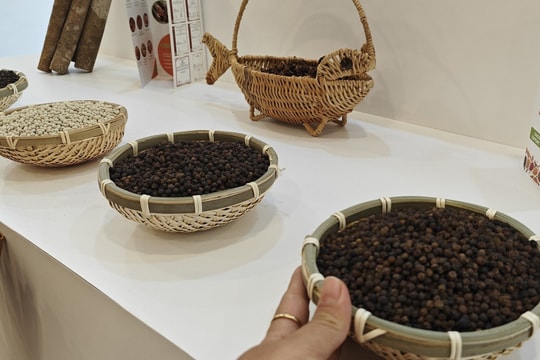 Giá nông sản hôm nay 26/10/2025: Giá cà phê bất ngờ tăng trở lại, hồ tiêu duy trì ổn định