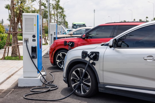 Doanh thu VinFast đạt 1,3 tỷ USD trong 6 tháng, mục tiêu gấp đôi sản lượng năm 2025