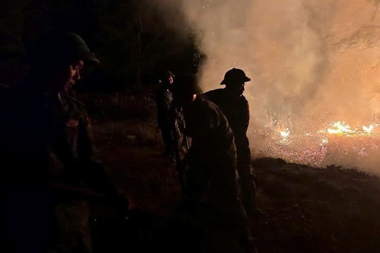 Phát hiện thi thể người đàn ông sau vụ cháy rừng ở Huế