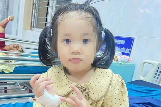 Công an tỉnh Gia Lai dùng xe dẫn đường, kịp thời chở bé 4 tuổi bị rắn độc cắn đi cấp cứu