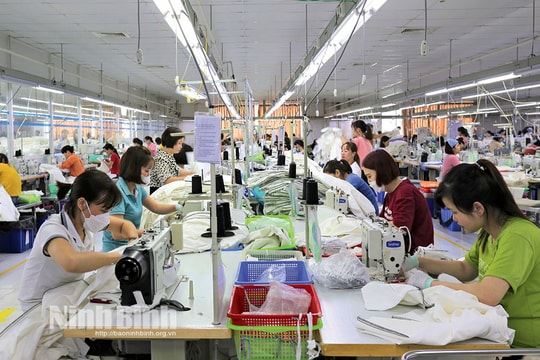 Ninh Bình tạo sinh kế bền vững cho người dân vùng nông thôn