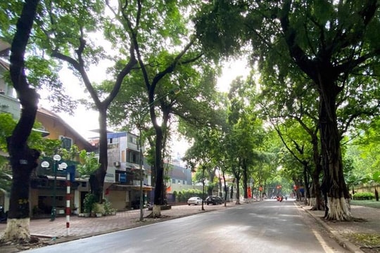 Dự báo thời tiết ngày 8/9: Bắc Bộ và Thanh Hoá ngày nắng nóng, tối mưa dông