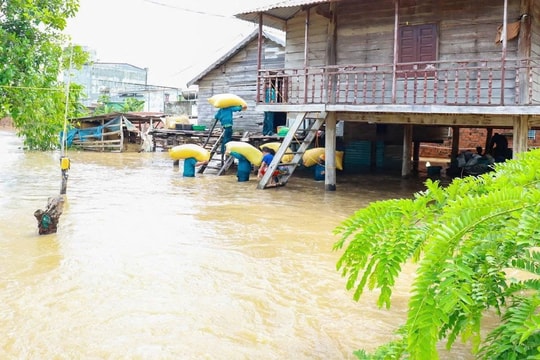 Gia Lai: Hàng trăm ha hoa màu, ngầm tràn ngập sâu trong nước do mưa lũ