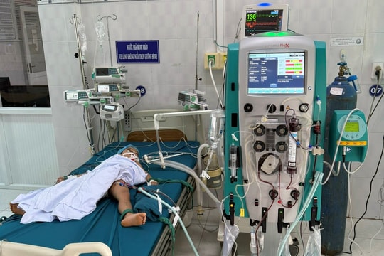 Gia Lai: Ba trẻ bị ong vò vẽ tấn công, 1 trường hợp tử vong