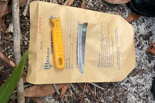 Kẻ ngáo đá đâm chiến sỹ công an tử vong bằng con dao gọt hoa quả