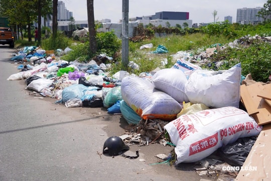 Xử phạt hơn 142 tỷ đồng vi phạm môi trường trong 8 tháng