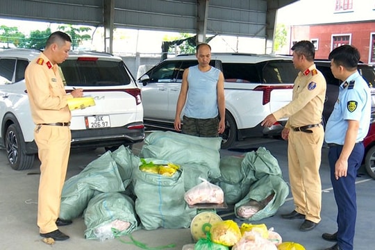 Ninh Bình: Bắt giữ xe ô tô vận chuyển 570kg thực phẩm không rõ nguồn gốc