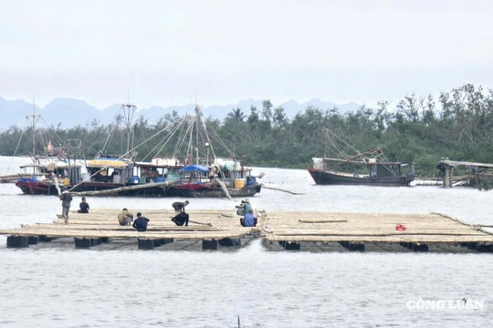 Quảng Ninh hướng dẫn thực hiện thủ tục giao biển nuôi trồng thủy sản