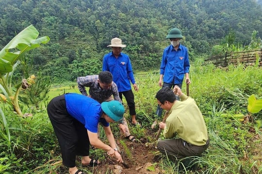Sơn La triển khai đồng bộ các giải pháp bảo vệ môi trường theo Chỉ thị 20/CT-TTg