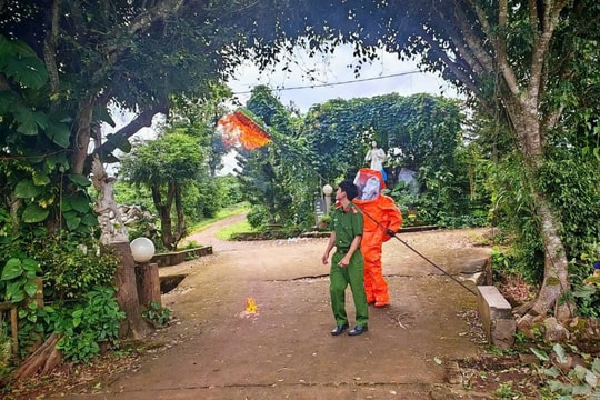 Gia Lai: Xử lý tổ ong vò vẽ tấn công 3 em nhỏ thương vong ở mái ấm Thiên Ân